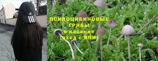 героин Новодвинск