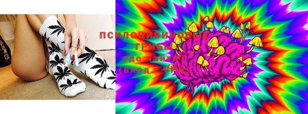 2c-b Богородицк
