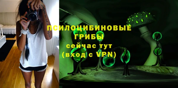 героин Новодвинск