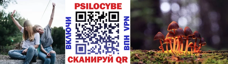 Галлюциногенные грибы ЛСД Донской