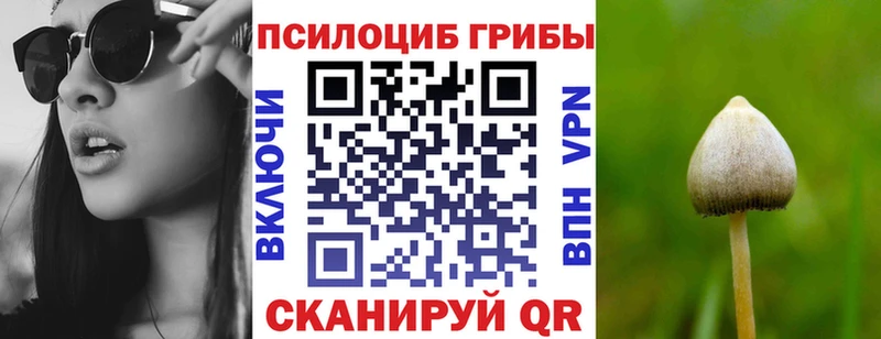 купить наркоту  Донской  omg ссылка  Псилоцибиновые грибы Magic Shrooms 